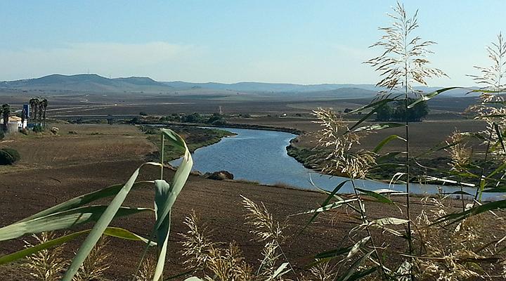 Río Salado - El Roqueo (Conil)